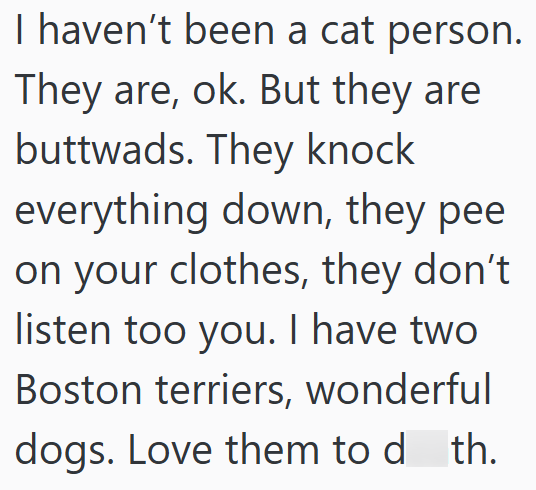 I haven't been a cat person. They are, ok. But they are buttwads. They knock everything down, they pee on your clothes, they don't listen too you. I have two Boston terriers, wonderful dogs. Love them to do th.