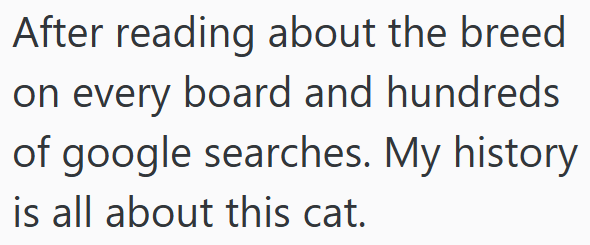 After reading about the breed on every board and hundreds of google searches. My history is all about this cat.