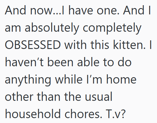And now...I have one. And I am absolutely completely OBSESSED with this kitten. I haven't been able to do anything while I'm home other than the usual household chores. T.v?