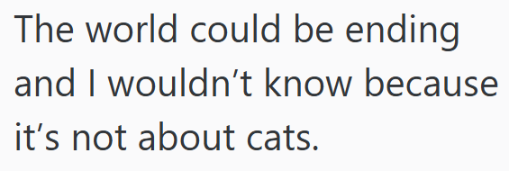 The world could be ending and I wouldn't know because it's not about cats.