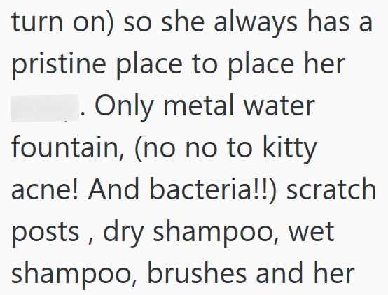 turn on) so she always has a pristine place to place her ☐. Only metal water fountain, (no no to kitty acne! And bacteria!!) scratch posts, dry shampoo, wet shampoo, brushes and her