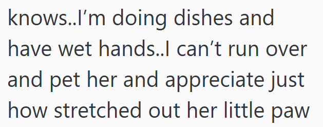 knows..I'm doing dishes and have wet hands..I can't run over and pet her and appreciate just how stretched out her little paw