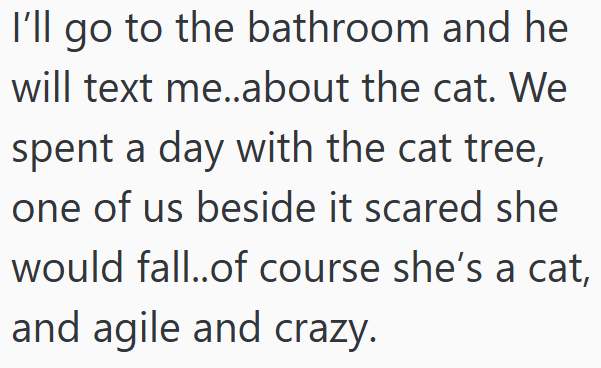 I'll go to the bathroom and he will text me..about the cat. We spent a day with the cat tree, one of us beside it scared she would fall..of course she's a cat, and agile and crazy.