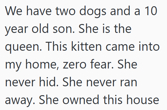 We have two dogs and a 10 year old son. She is the queen. This kitten came into my home, zero fear. She never hid. She never ran away. She owned this house