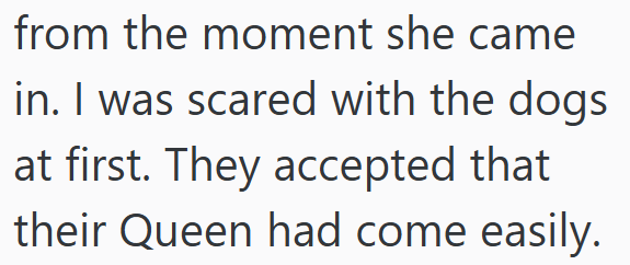 from the moment she came in. I was scared with the dogs. at first. They accepted that their Queen had come easily.