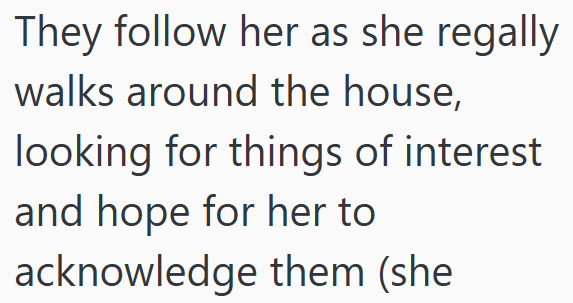 They follow her as she regally walks around the house, looking for things of interest and hope for her to acknowledge them (she