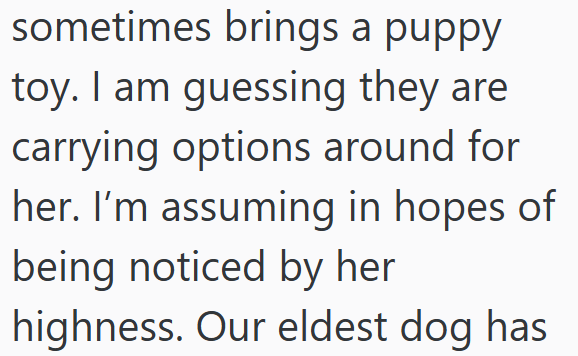 sometimes brings a puppy toy. I am guessing they are carrying options around for her. I'm assuming in hopes of being noticed by her highness. Our eldest dog has