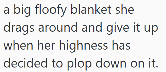 a big floofy blanket she drags around and give it up when her highness has decided to plop down on it.