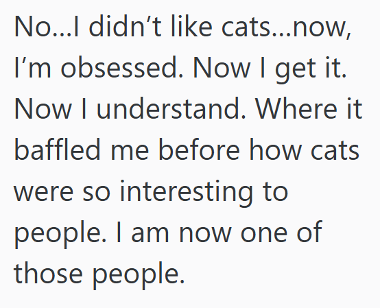 No...I didn't like cats...now, I'm obsessed. Now I get it. Now I understand. Where it baffled me before how cats were so interesting to people. I am now one of those people.