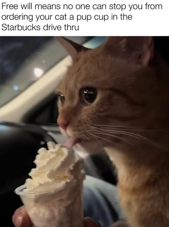 Free will means no one can stop you from ordering your cat a pup cup in the Starbucks drive thru