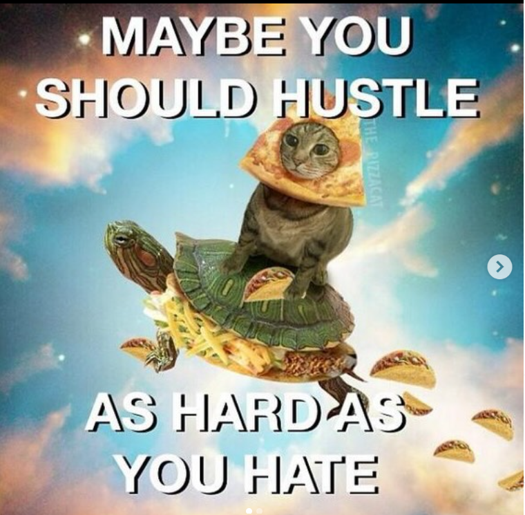MAYBE YOU SHOULD HUSTLE THE PIZZACAT AS HARD AS YOU HATE >
