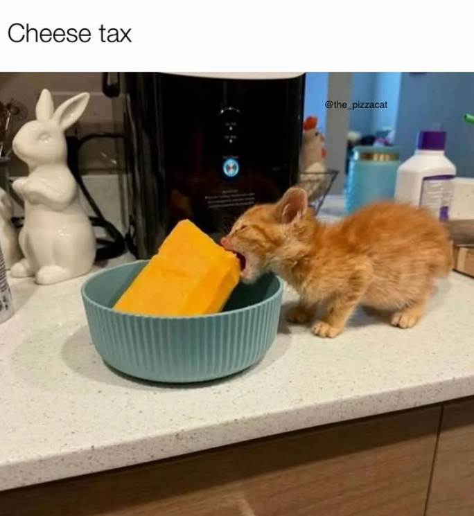 Cheese tax @the_pizzacat