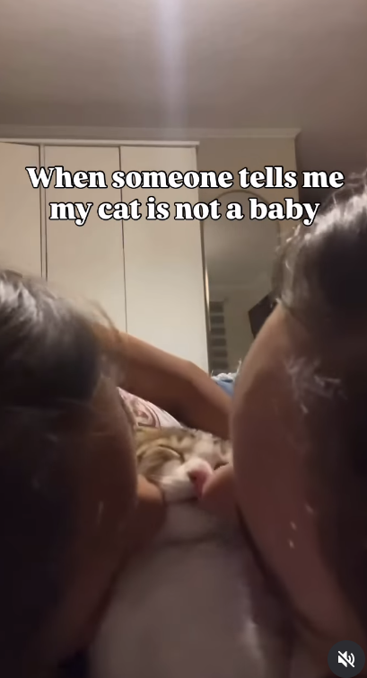 When someone tells me my cat is not a baby 5