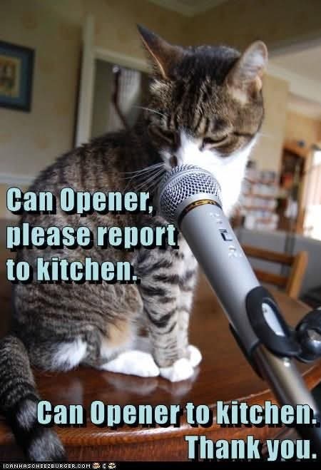 Can Opener, please report to kitchen. Can Opener to kitchen. ICANHASCHEEZBURGER.COM Thank you.