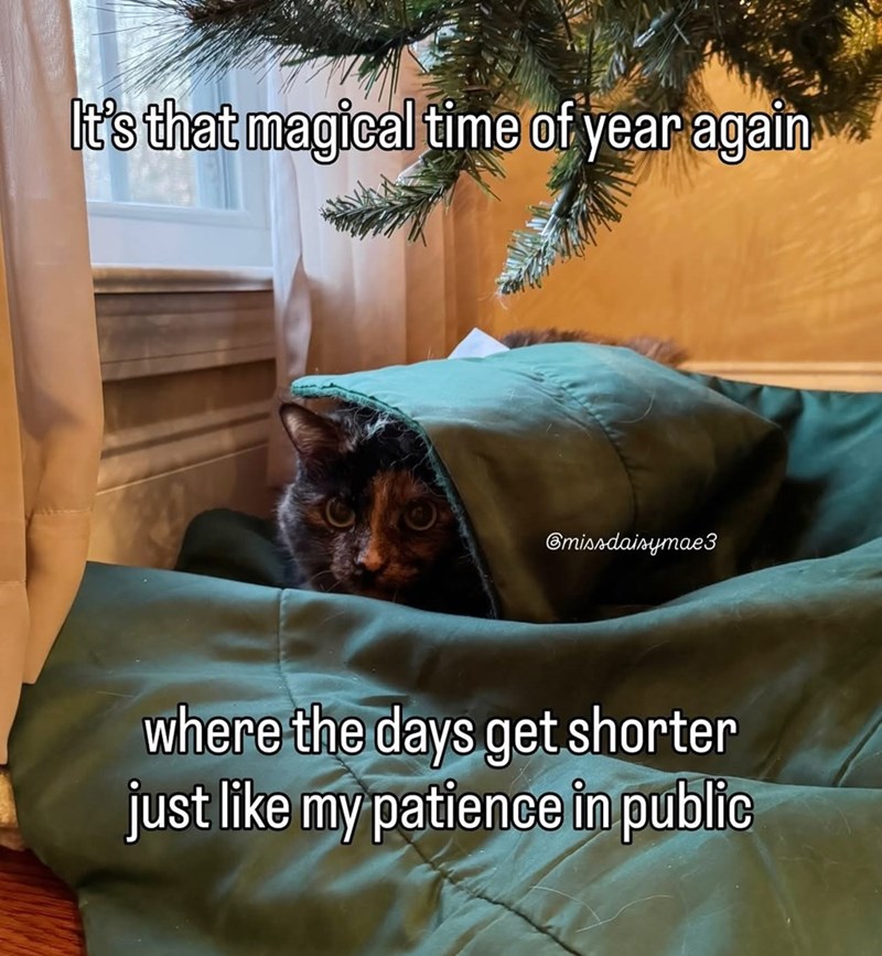 It's that magical time of year again @missdaisymae3 where the days get shorter just like my patience in public