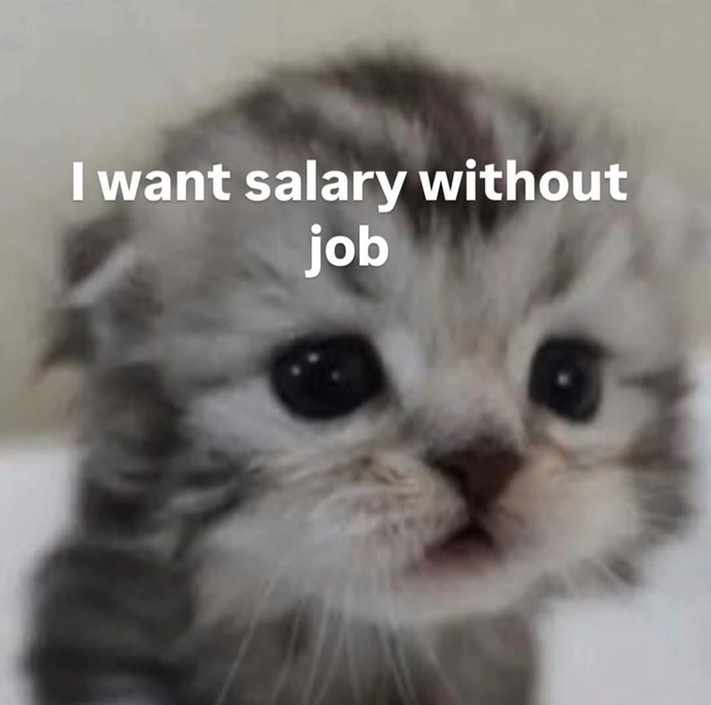 I want salary without job