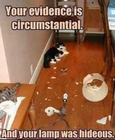 Your evidence is circumstantial. And your lamp was hideous.