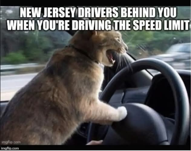 NEW JERSEY DRIVERS BEHIND YOU WHEN YOU'RE DRIVING THE SPEED LIMIT imgflip.com imgflip.com
