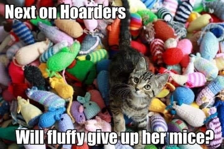 Next on Hoarders Will fluffy give up her mice?