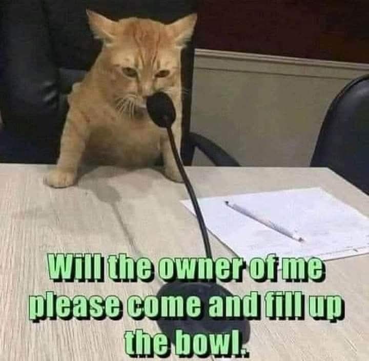 Will the owner of me please come and fill up the bowl.
