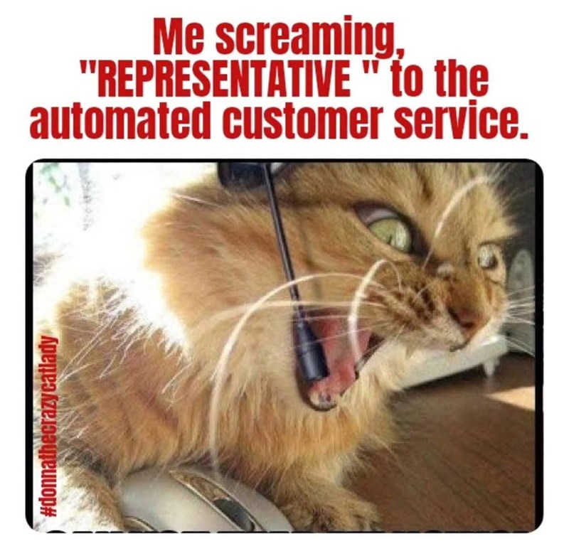 #donnathecrazycatlady Me screaming, "REPRESENTATIVE " to the automated customer service.
