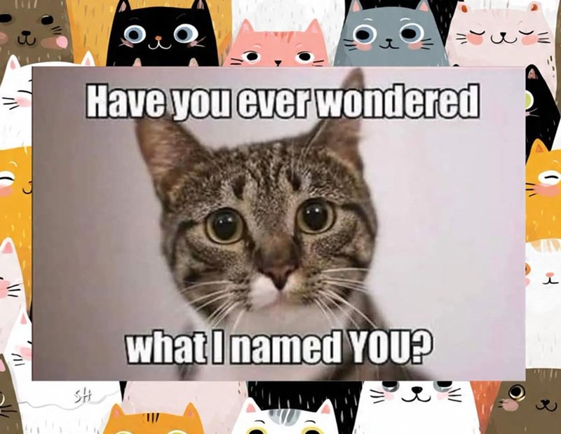 Have you ever wondered 711 St what I named YOU?