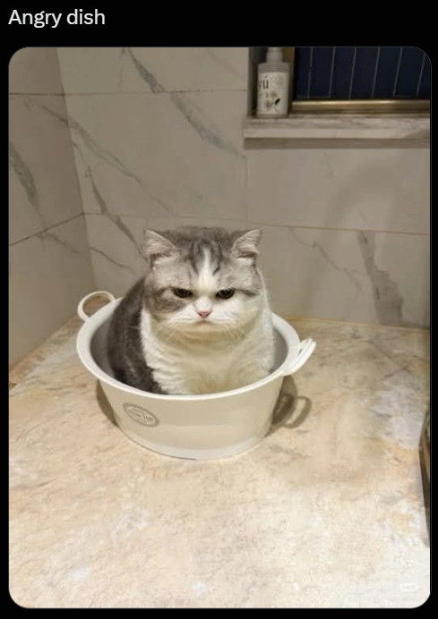 Angry dish