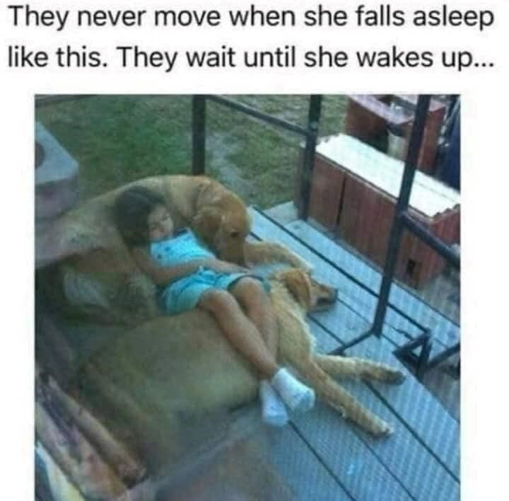 They never move when she falls asleep like this. They wait until she wakes up...