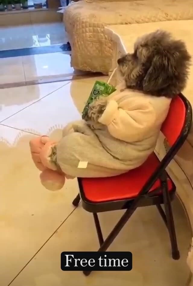 Free time