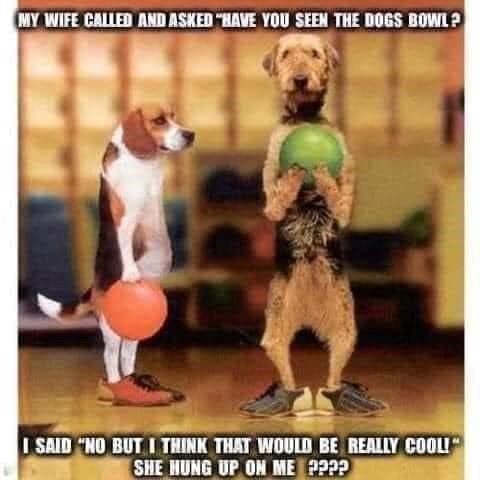 MY WIFE CALLED AND ASKED "HAVE YOU SEEN THE DOGS BOWL? I SAID "NO BUT I THINK THAT WOULD BE REALLY COOL! SHE HUNG UP ON ME ????