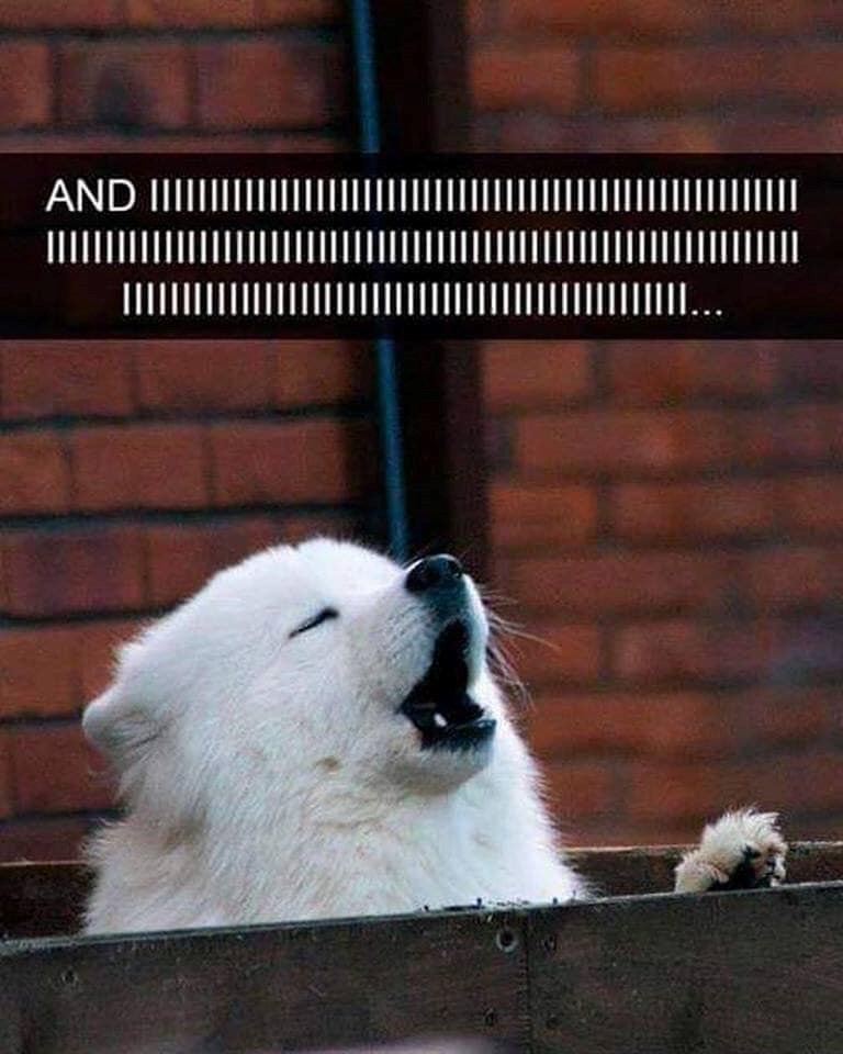 AND IIIIII /////////////////////|||||||||||||||||||||||||||||||||||||||||||