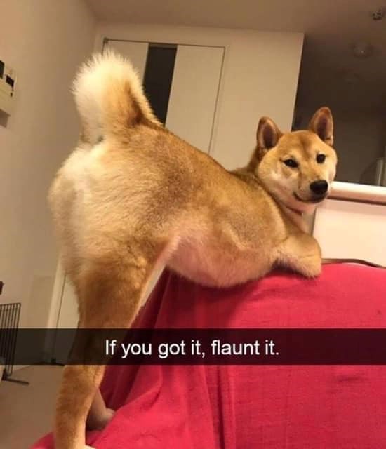 If you got it, flaunt it.
