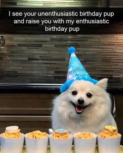 I see your unenthusiastic birthday pup and raise you with my enthusiastic birthday pup Birthd Roy