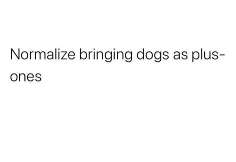Normalize bringing dogs as plus- ones