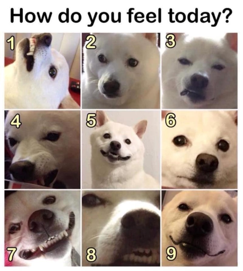 1 How do you feel today? 2 3 4 5 6 7 8 9