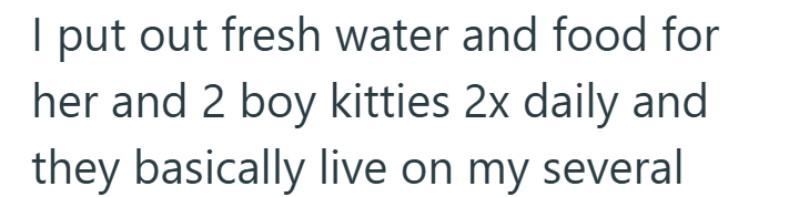 I put out fresh water and food for her and 2 boy kitties 2x daily and they basically live on my several