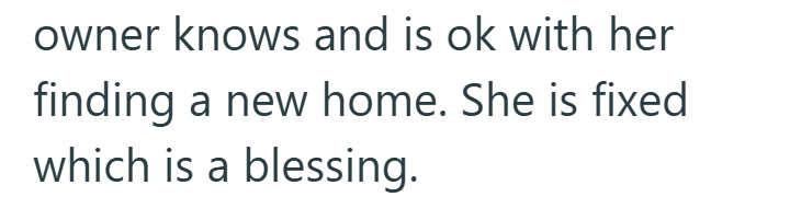 owner knows and is ok with her finding a new home. She is fixed which is a blessing.