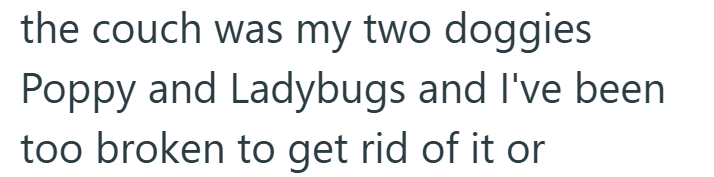 the couch was my two doggies Poppy and Ladybugs and I've been too broken to get rid of it or