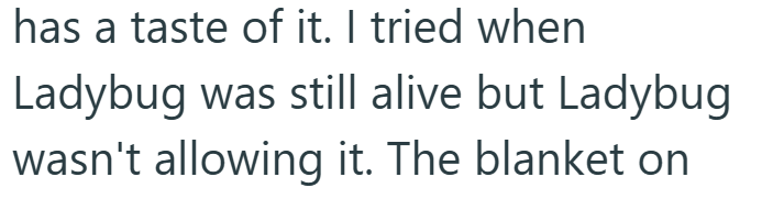 has a taste of it. I tried when Ladybug was still alive but Ladybug wasn't allowing it. The blanket on