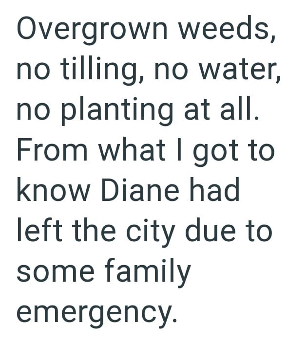 Overgrown weeds, no tilling, no water, no planting at all. From what I got to know Diane had left the city due to some family emergency.