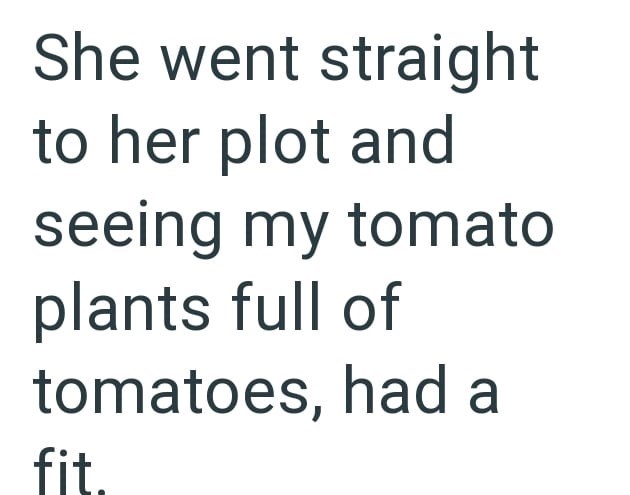 She went straight to her plot and seeing my tomato plants full of tomatoes, had a fit.