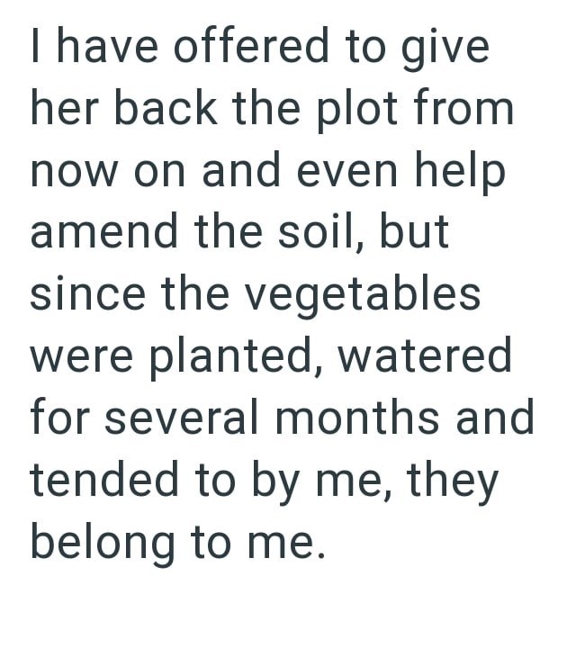 I have offered to give her back the plot from now on and even help amend the soil, but since the vegetables were planted, watered for several months and tended to by me, they belong to me.