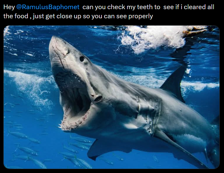 Hey @Ramulus Baphomet can you check my teeth to see if i cleared all the food, just get close up so you can see properly