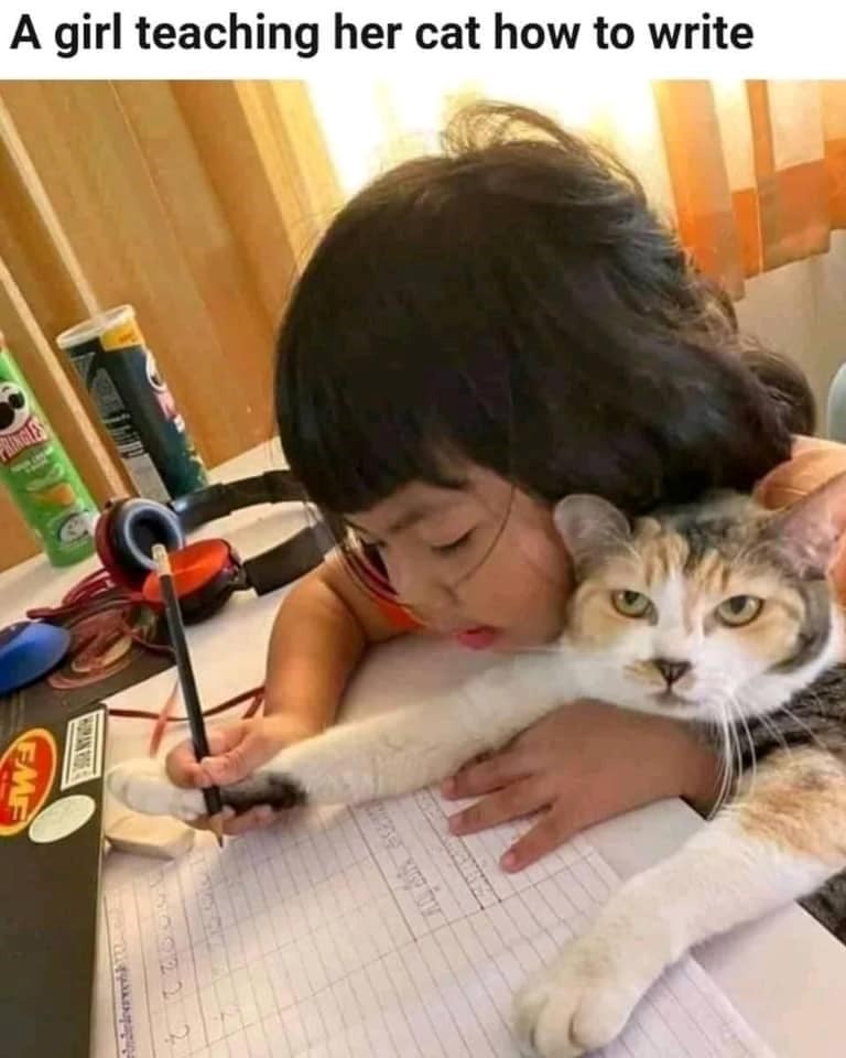A girl teaching her cat how to write PRINGLES EME 350922 2
