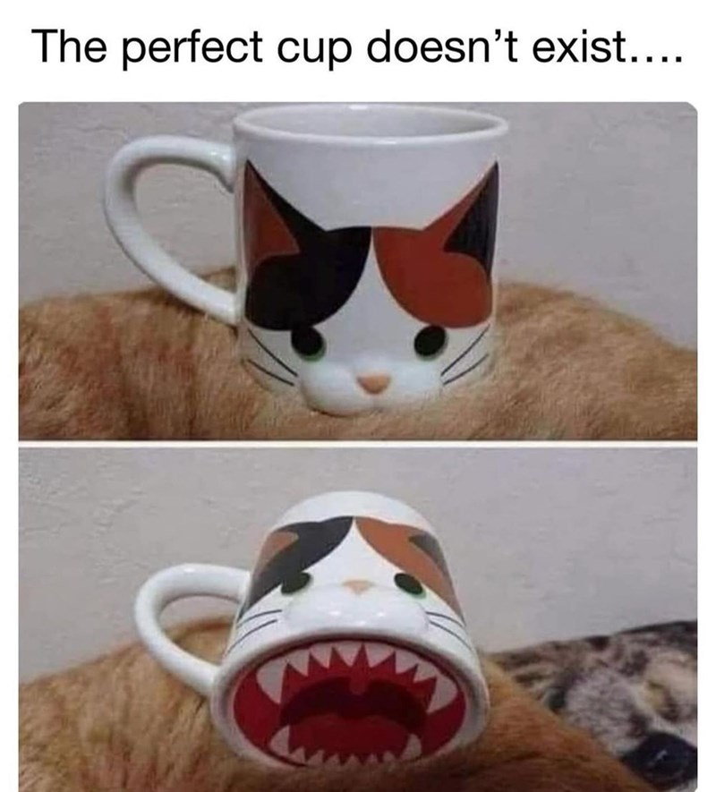 The perfect cup doesn't exist....