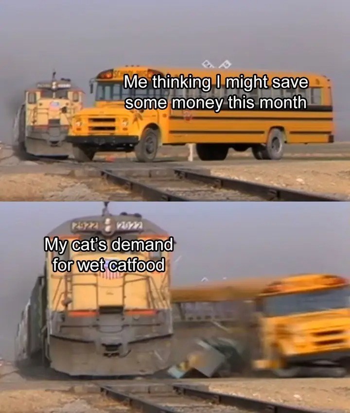 Me thinking I might save some money this month 29222822 My cat's demand for wet catfood