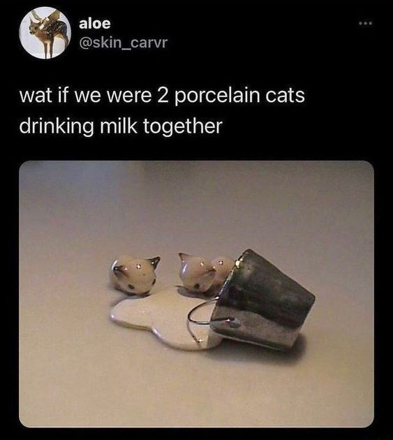 aloe @skin_carvr wat if we were 2 porcelain cats drinking milk together