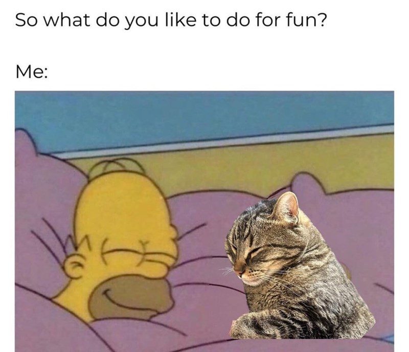 So what do you like to do for fun? Me:
