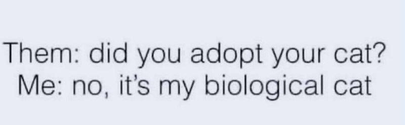 Them: did you adopt your cat? Me: no, it's my biological cat