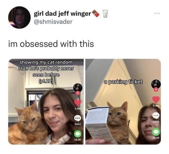 girl dad jeff winger @shmisvader im obsessed with this showing my cat random stuff he's probably never seen before (pt.22) 5.4M a parking ticket 9843 9843 34.9K 34.9K 444
